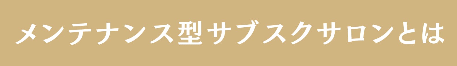 ◆メンテナンス型サブスクサロンとは