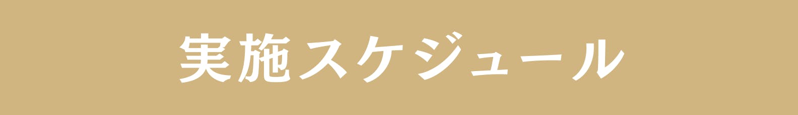 ◆実施スケジュール