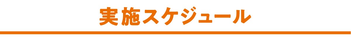 実施スケジュール