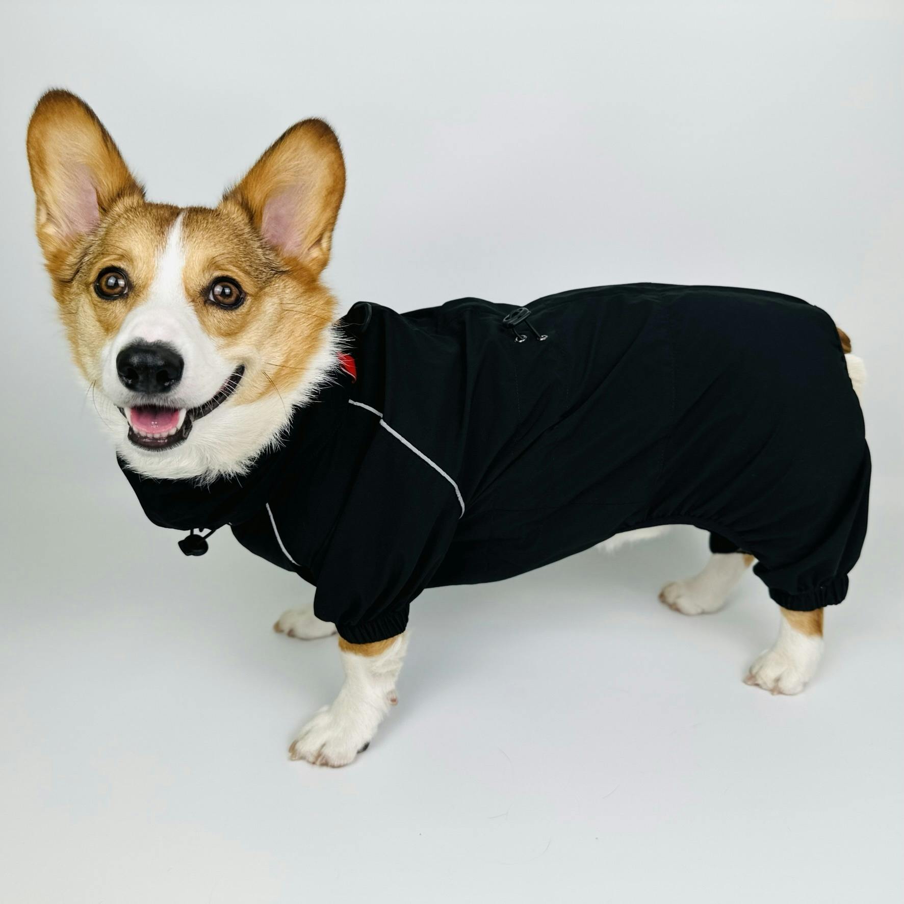 GOOD DESIGN コーギー専用レインコート イエロー/グレー 犬 レインコート 雨具 コーギー JコートB2 コーギー用サイズ