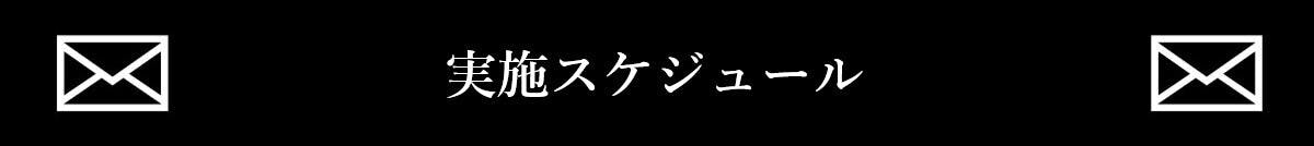 実施スケジュール