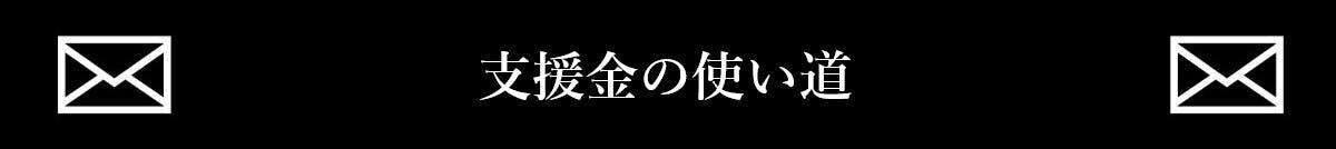支援金の使い道