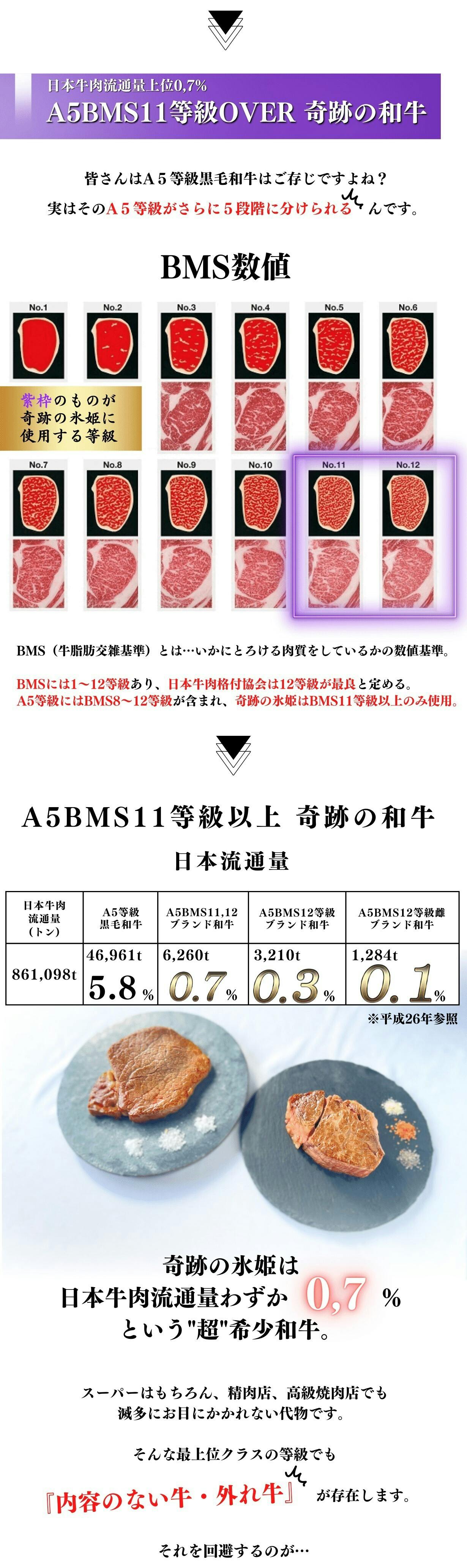 流通量0,7% A5BMS11等級以上ブランド和牛 シャトーブリアン フィレミニョン