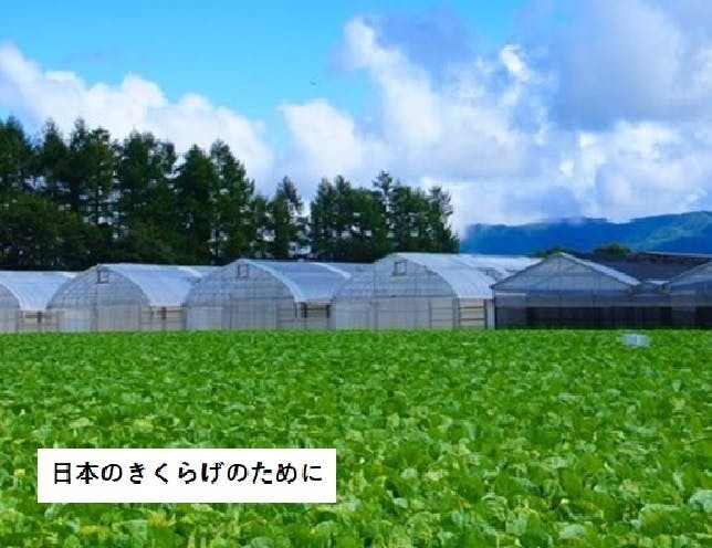 素晴らしい日本の野菜を　※イメージ