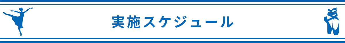 実施スケジュール