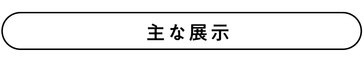 主な展示