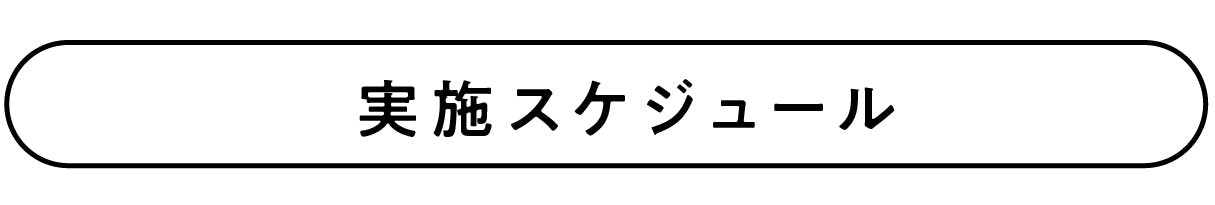 実施スケジュール