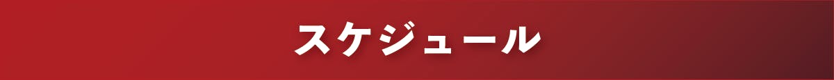 スケジュール