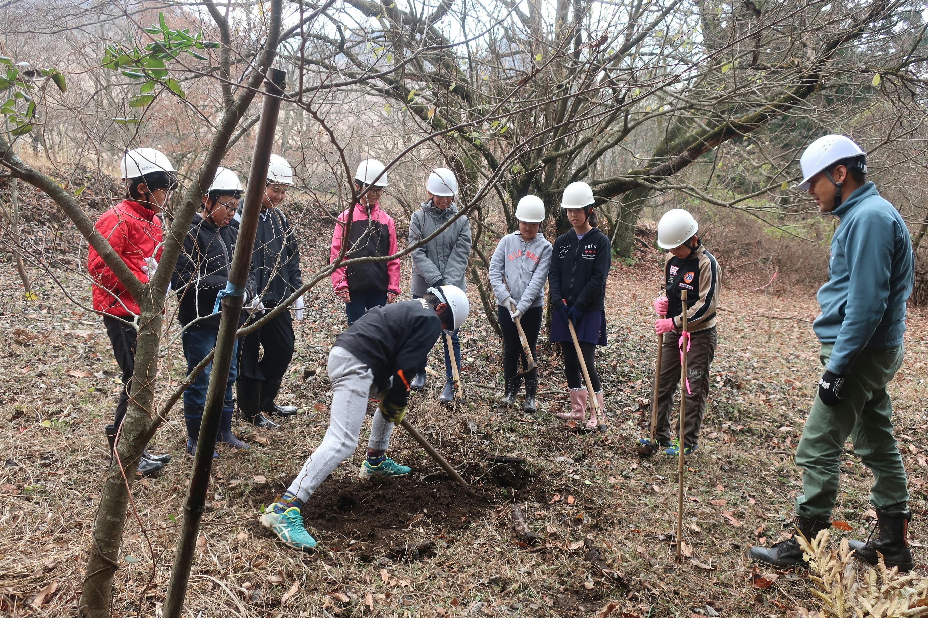 高森町で行われている定期イベント「植林＆枝打ち体験」の様子