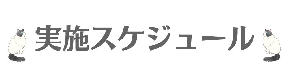 実施スケジュール