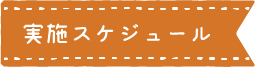 見出し:実施スケジュール