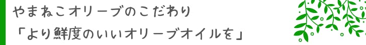 やまねこオリーブのこだわり「より鮮度のいいオリーブオイルを」」