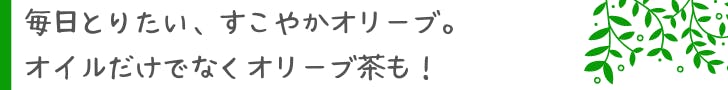 毎日とりたい、すこやかオリーブ。オイルだけでなくオリーブ茶も！