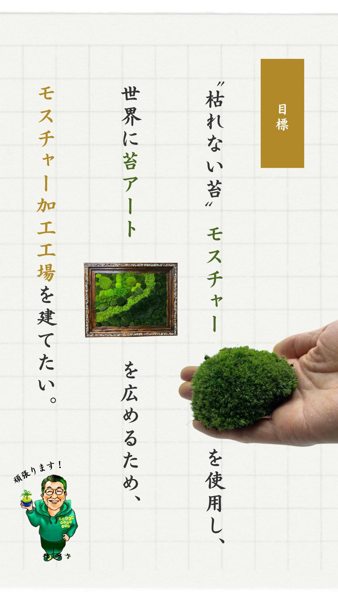 天然の苔を″枯れない苔″に特殊保存加工する開発に成功!山縣健志、新た 天然の苔を″枯れない苔″に特殊保存加工する開発に成功!山縣健志、新た