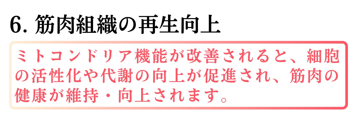 A611BB77-3D29-41AD-86C1-4B7A4DC3A13B.png