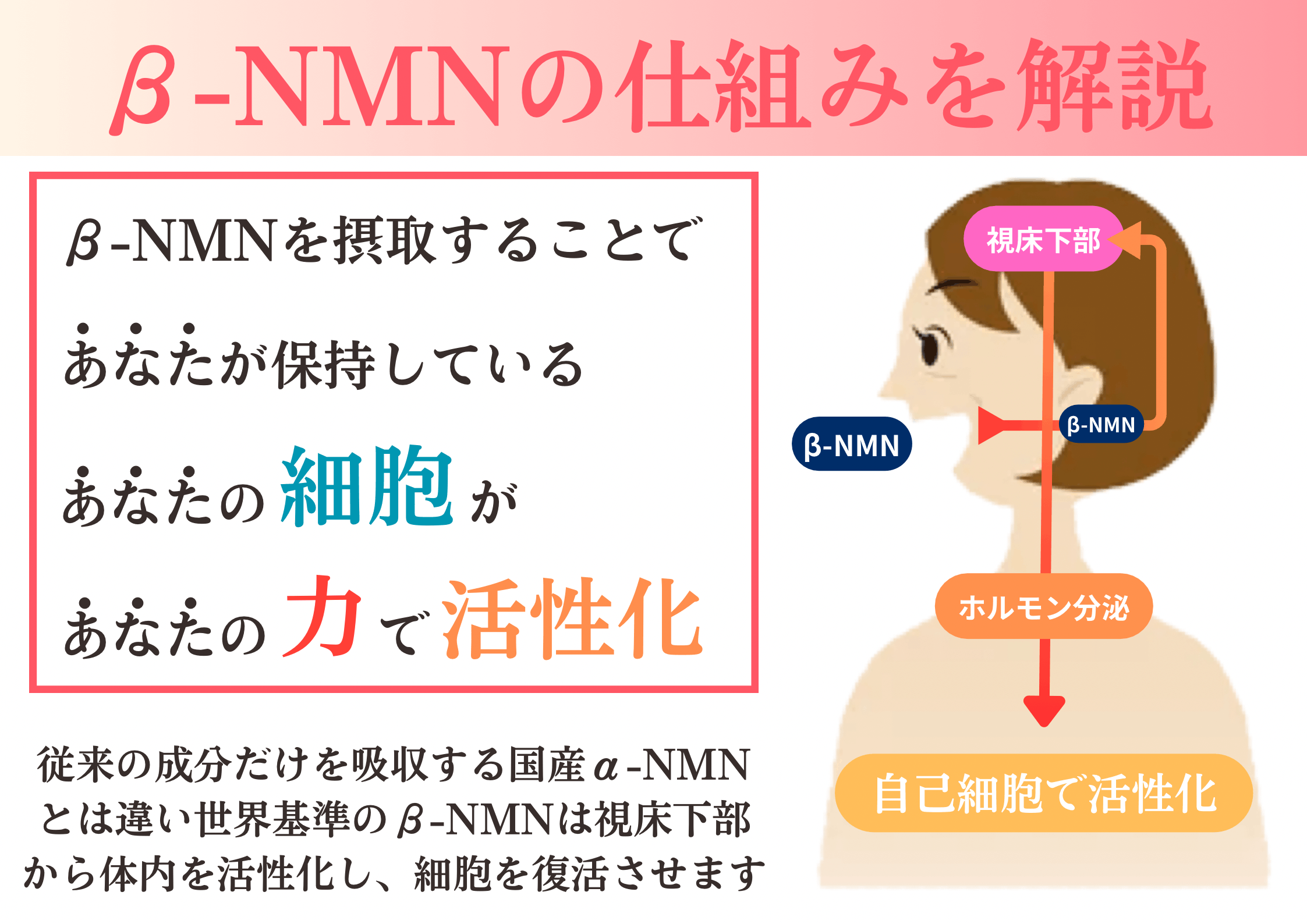 0F040E10-AD09-401E-A69B-C3A9CCD7BB0A.png