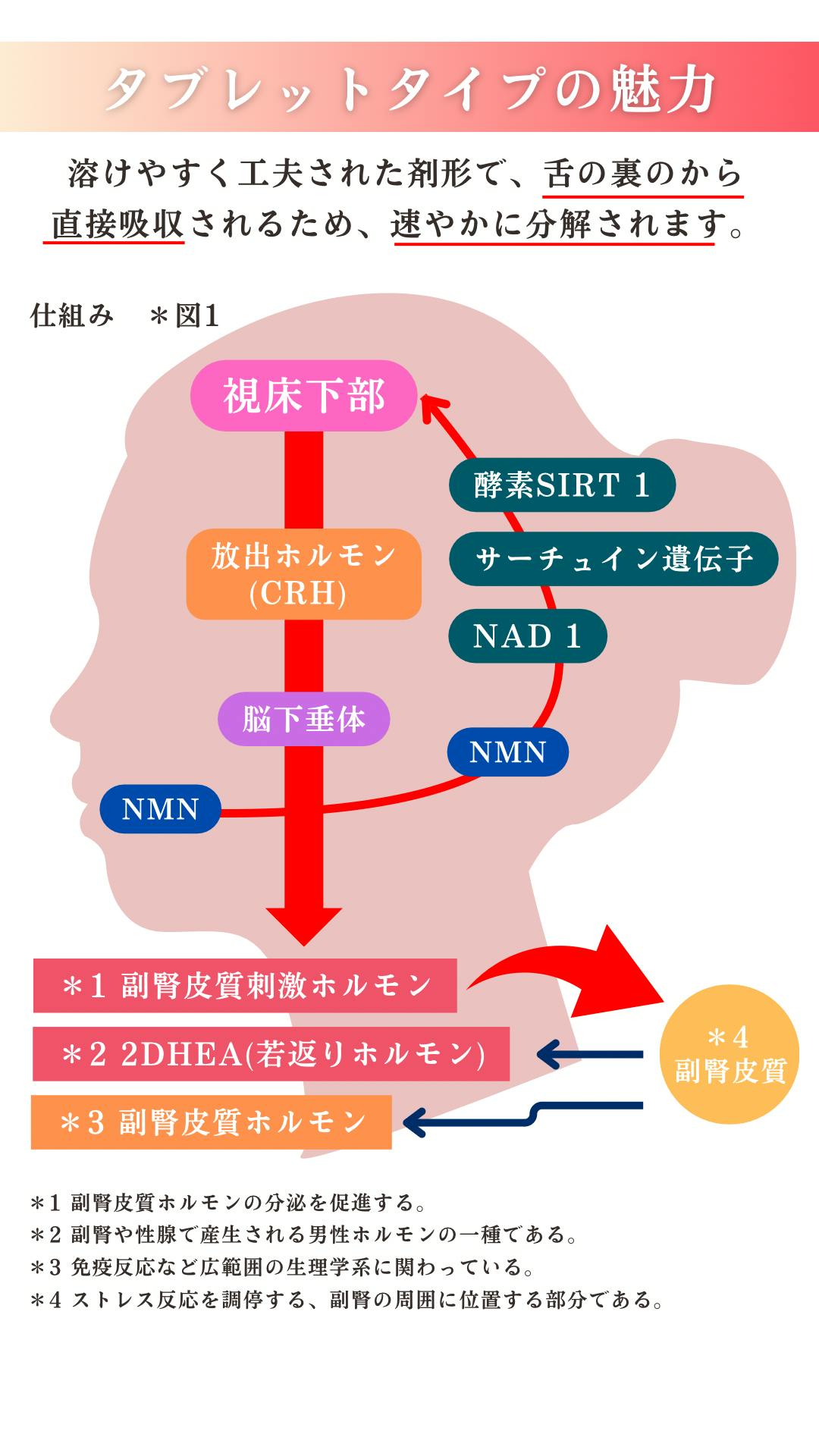 93455E4D-8472-402D-AB3E-9C31D6BBBE15.png