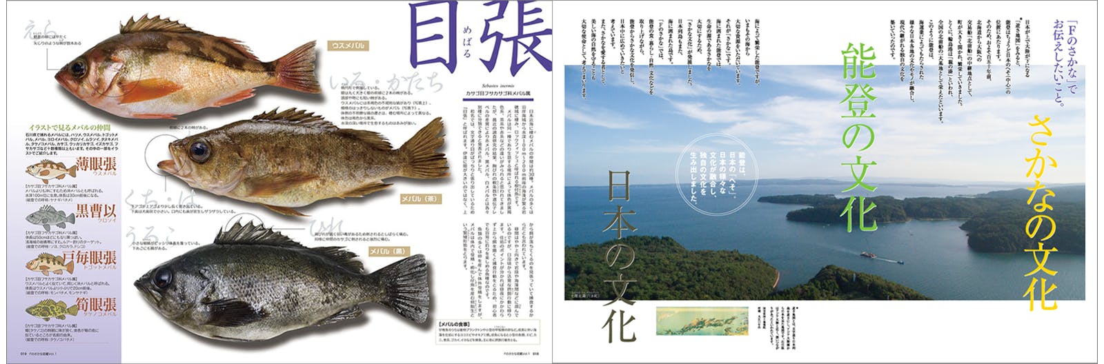 能登のさかな文化を守りたい!Fのさかな復興プロジェクト - CAMPFIRE 能登のさかな文化を守りたい!Fのさかな復興プロジェクト - CAMPFIRE