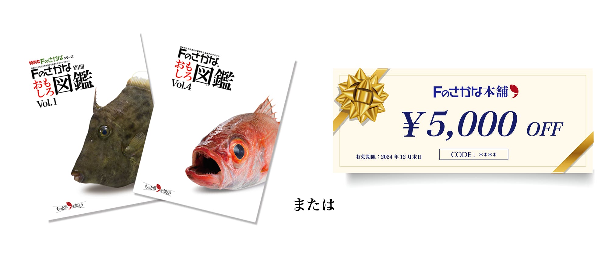 能登のさかな文化を守りたい!Fのさかな復興プロジェクト - CAMPFIRE 能登のさかな文化を守りたい!Fのさかな復興プロジェクト - CAMPFIRE