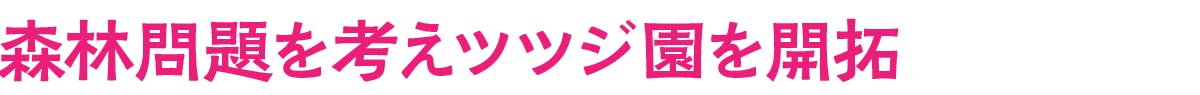 森林問題を考えツツジ園を開拓