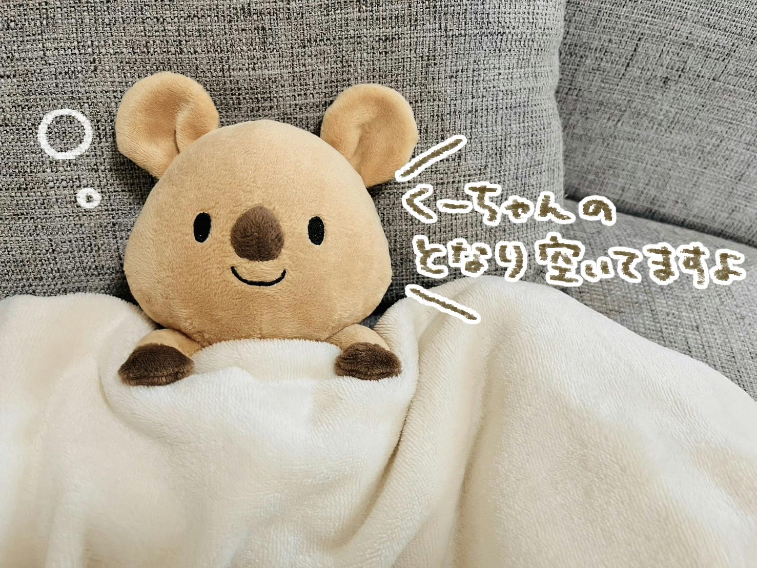 GBちゃん ぬいぐるみ クオッカ クオッカのくーちゃん ぬいぐるみ化プロジェクト! - CAMPFIRE