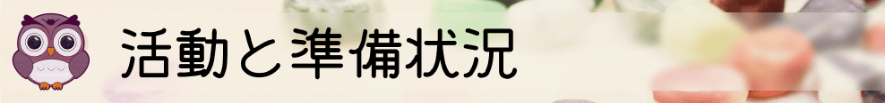 これまでの活動と準備状況