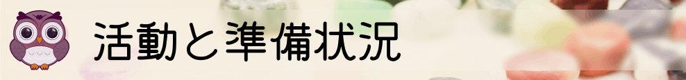 これまでの活動と準備状況