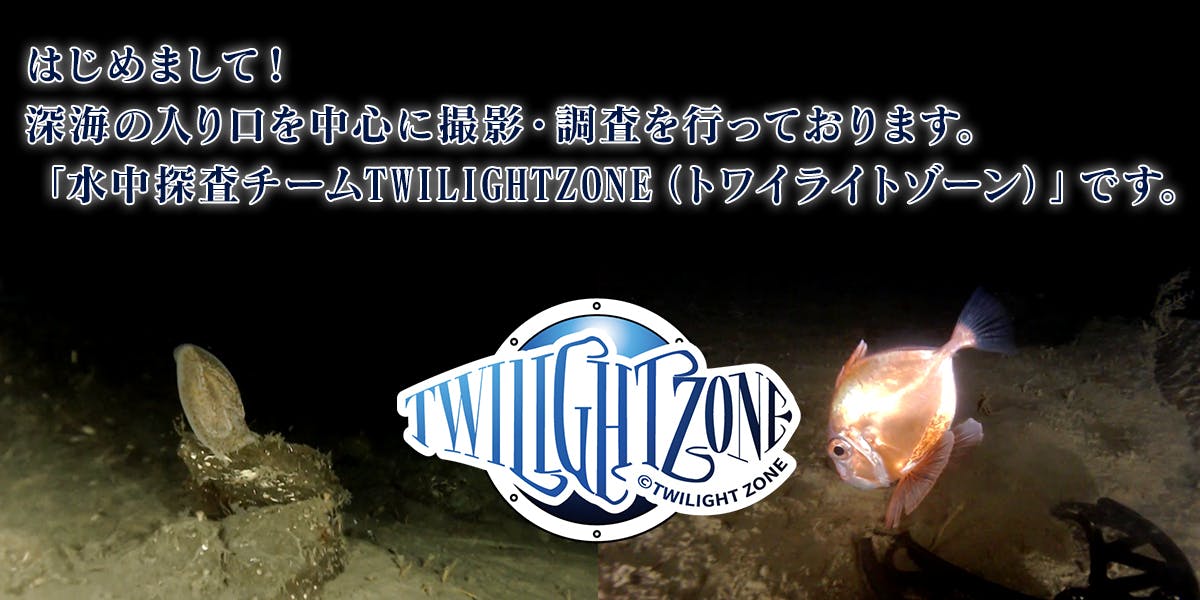 はじめまして！ 深海の入り口を中心に撮影・調査を行っております。 「水中探査チームTWILIGHTZONE（トワイライトゾーン）」です。