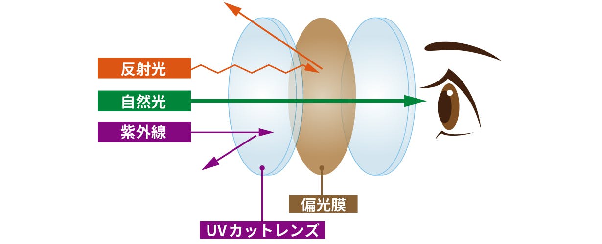 偏光レンズの仕組み