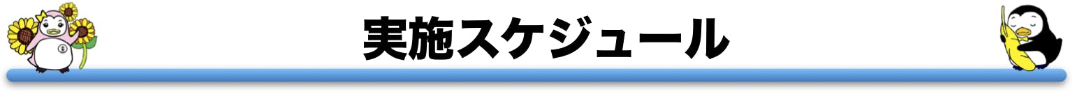 実施スケジュール