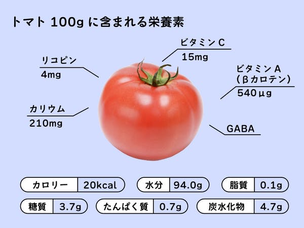 トマト100gあたりの主な栄養素