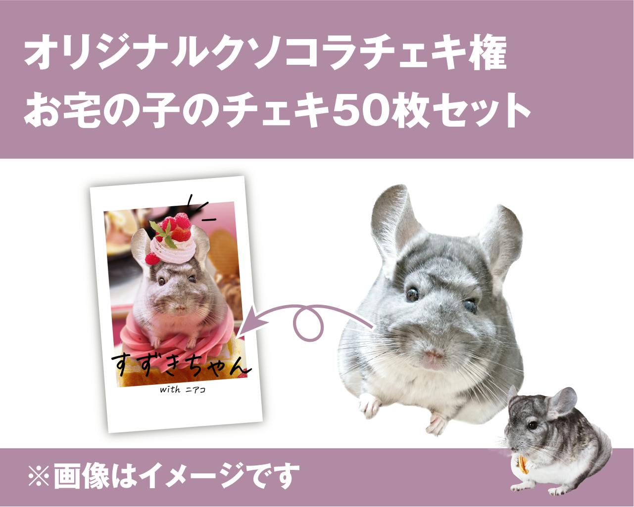 着用数回、美品！チンチラケープ♡︎ 2025年3月に第2回チンチラチラチラを開催したい！プロジェクト