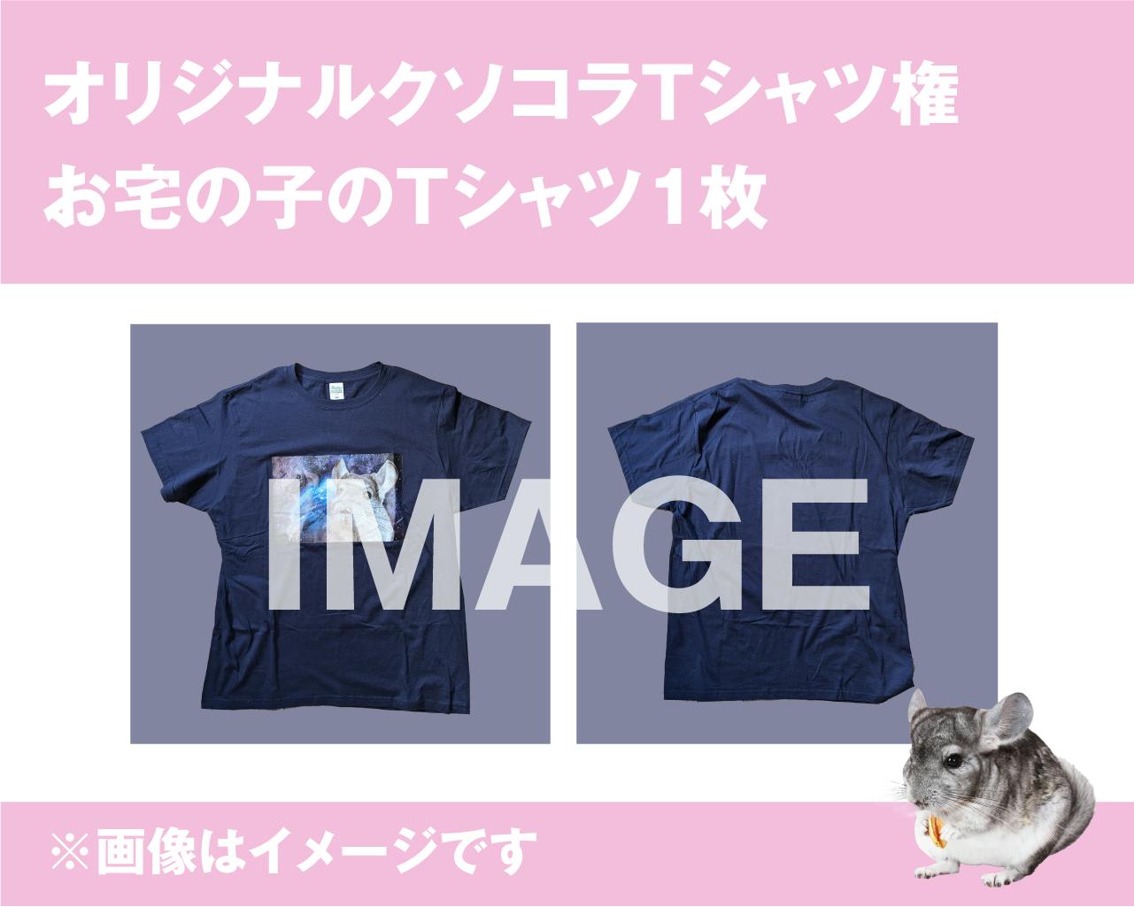 2025年3月に第2回チンチラチラチラを開催したい！プロジェクト