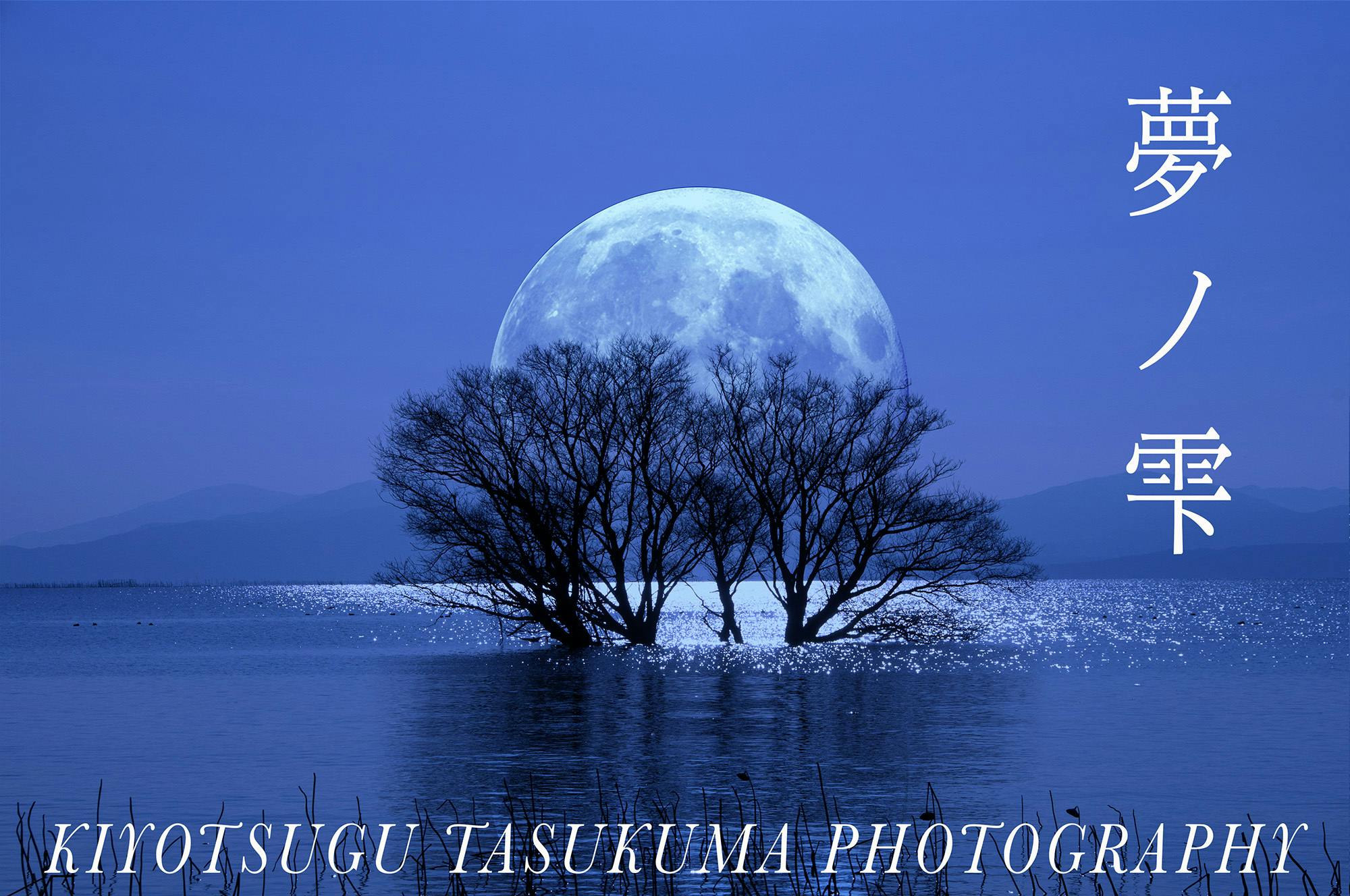 写真家 津熊清嗣 癒しの世界「夢ノ雫」と題した個展を開催したい