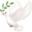🕊️
