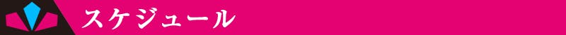 スケジュール