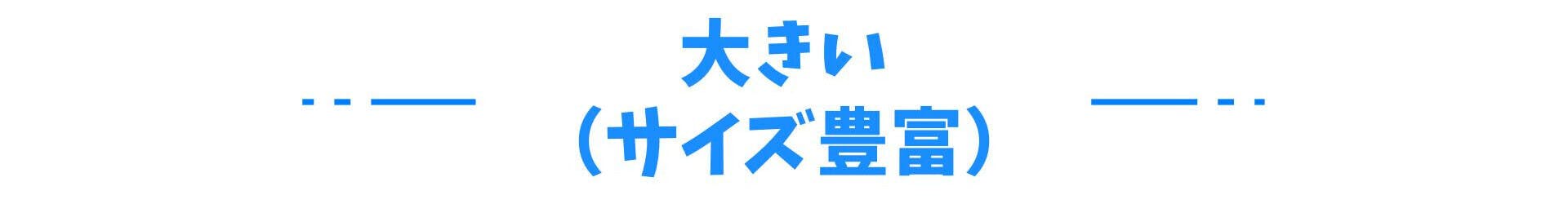 大きい（サイズ豊富）