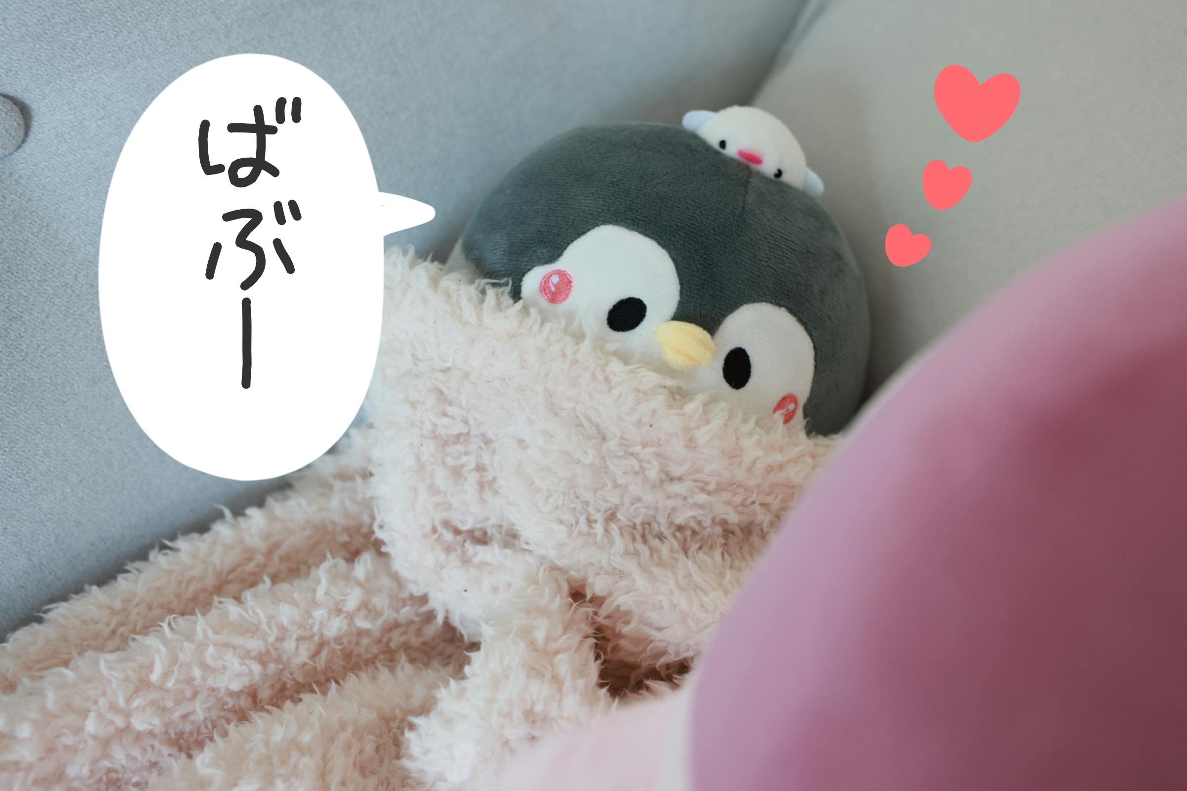 ぺんちゃんさん専用 ᑭᕮᑎᑕᕼᗩᑎ｜ペンちゃん🐧vStreamer (@penchan77) / X