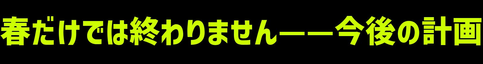 春だけでは終わりません——今後の計画