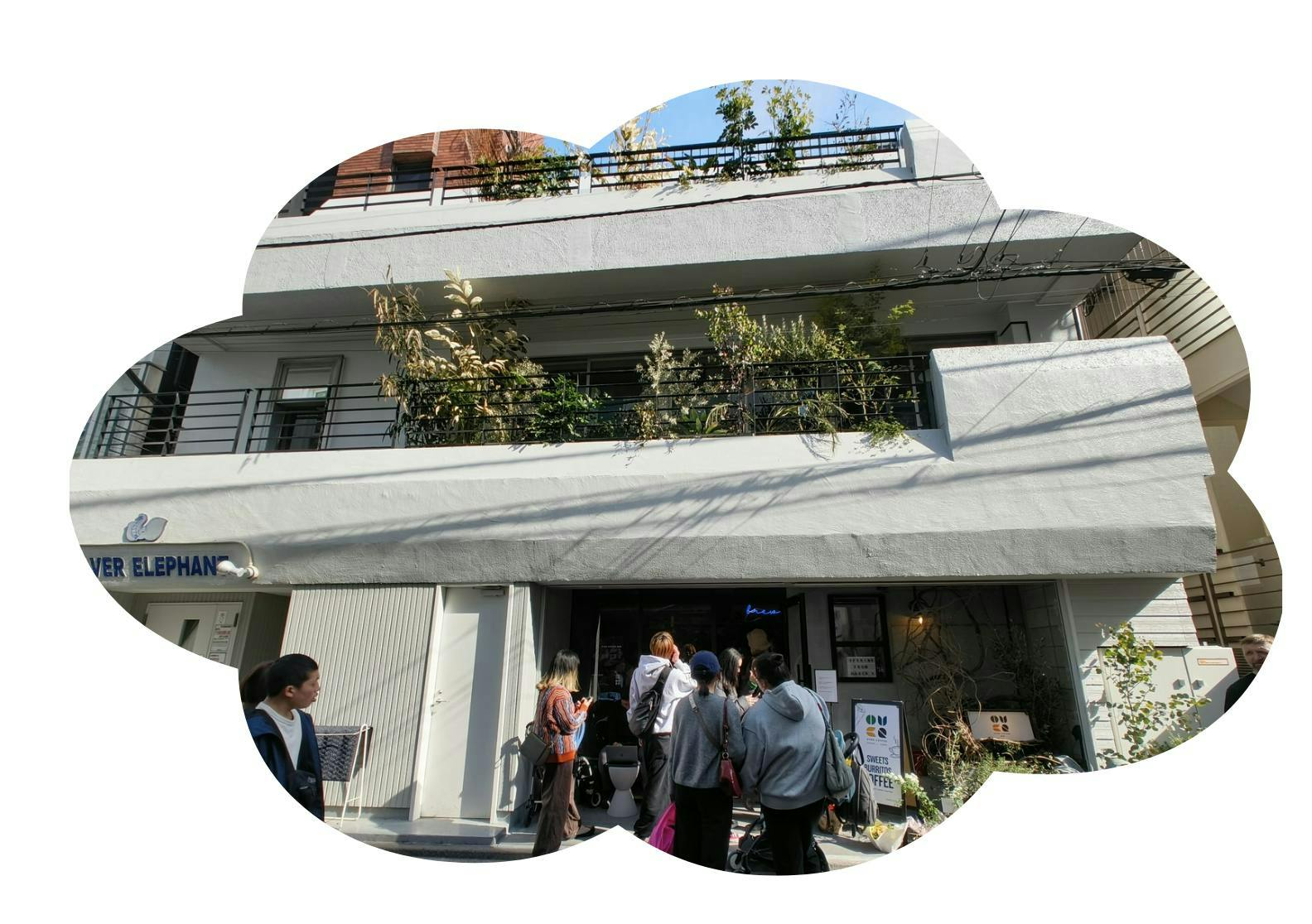 1741353509539.png?fit=max