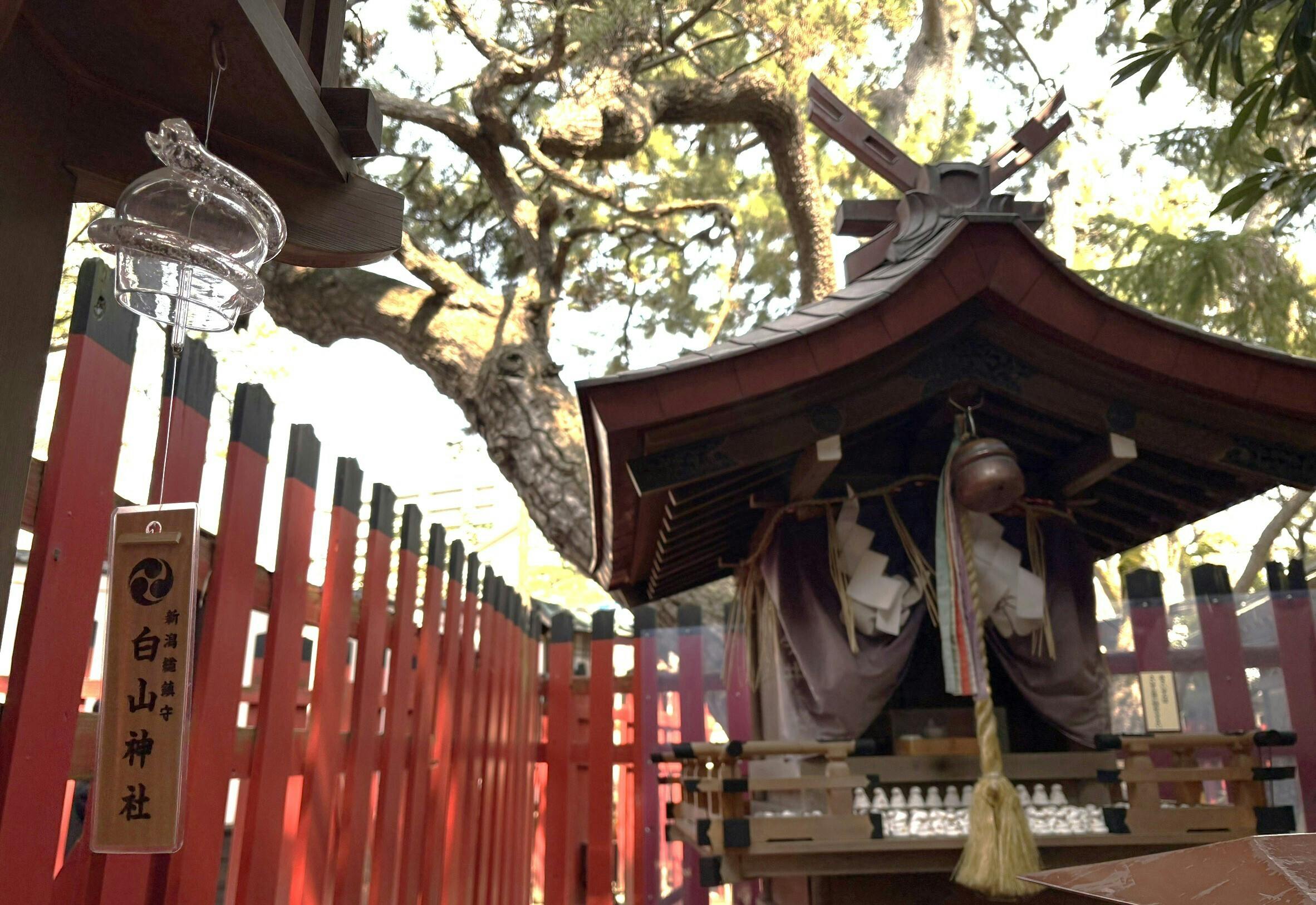 夢を描く10,000枚の短冊を子どもたちに配りたい！令和7年「七夕風鈴