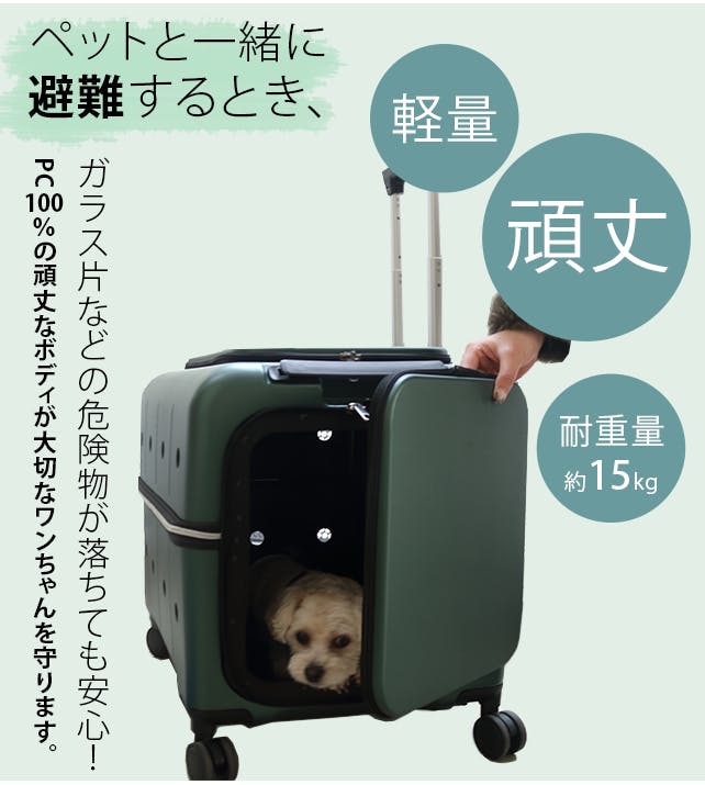 4Wayペットキャリー新登場！快適なおでかけ。飛行機OK・電車OK・バスOK