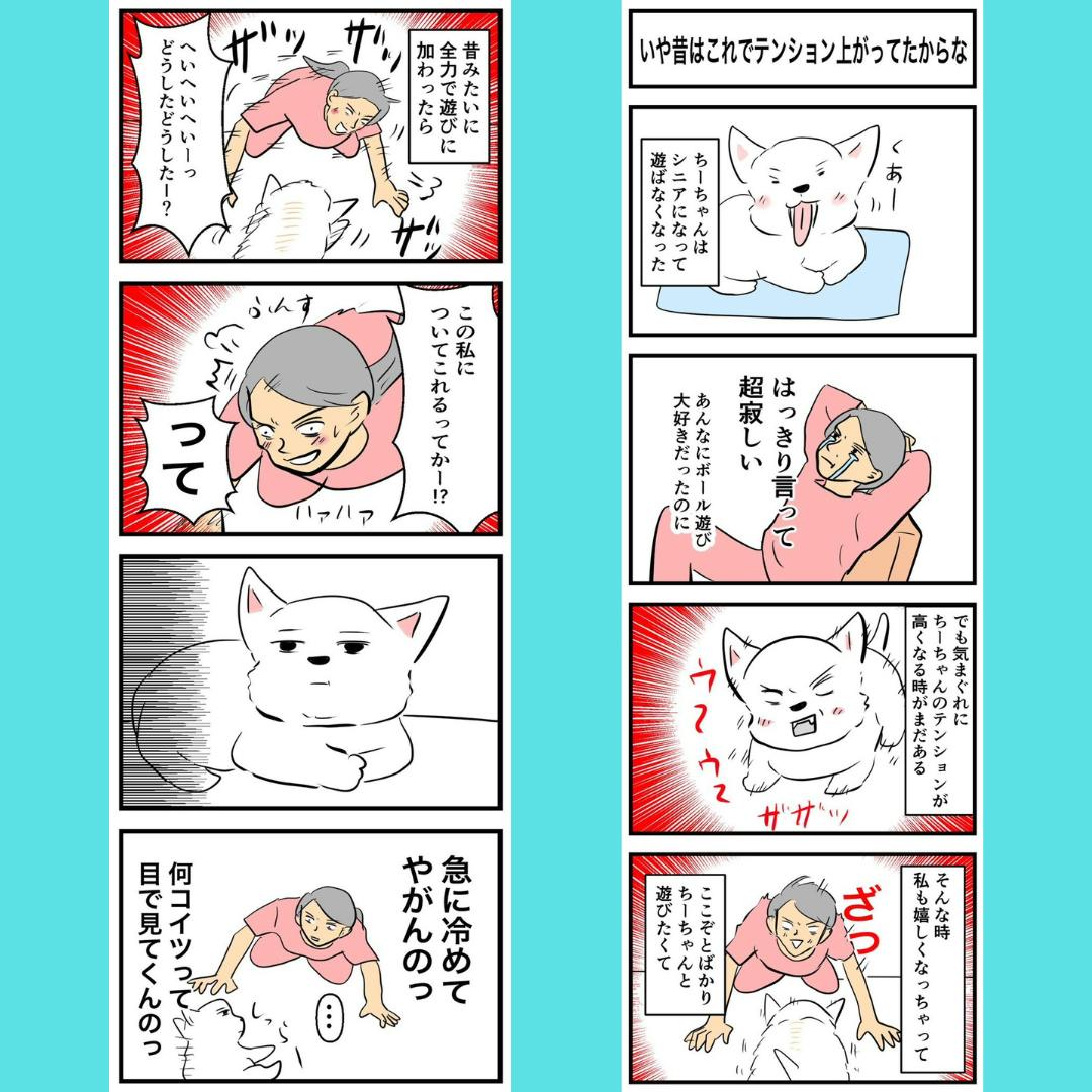 16歳・ちーちゃんの漫画で健康・元気で過ごす愛犬ライフを伝えたい