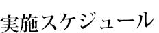 実施スケジュール