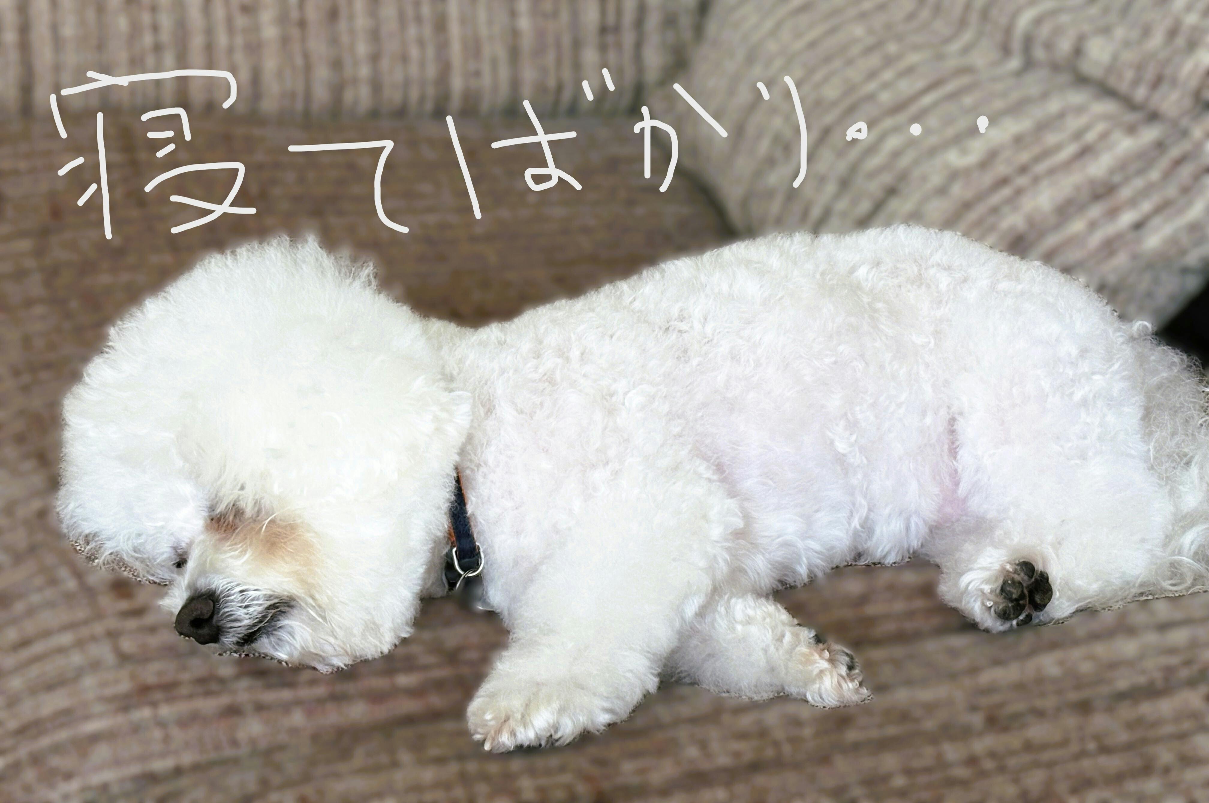 いつお疲れ・・・