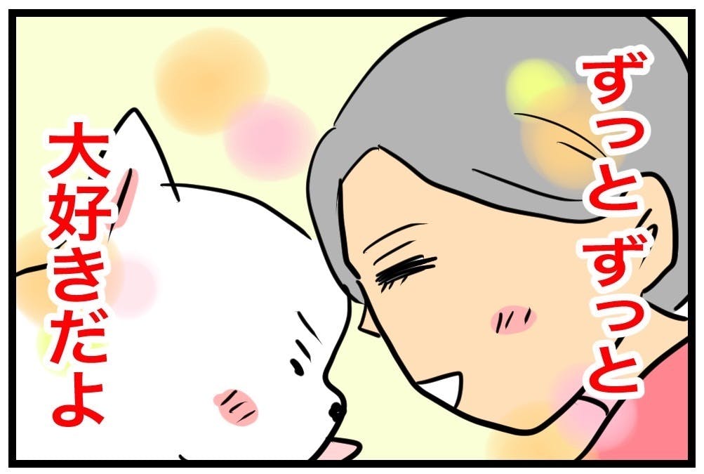 16歳・ちーちゃんの漫画で健康・元気で過ごす愛犬ライフを伝えたい