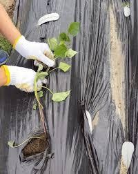 ごきげんフリースクール富山校 (@gokigen.freeschool.toyama) • Instagram photos and videos