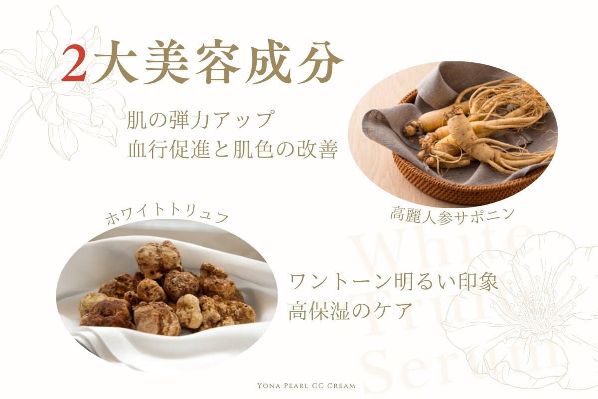 今話題のホワイトトリュフ！！韓国スキンケア yona 今話題のホワイトトリュフ！！韓国スキンケア yona シースルー