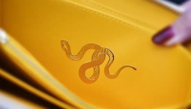 最終販売】10人の有名風水師が“白蛇龍神を担いだ”2025年限定本気の開運