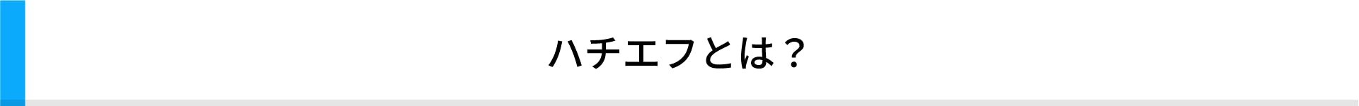 ハチエフとは?
